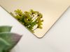 PVD Champagne Stainless Steel Sheet