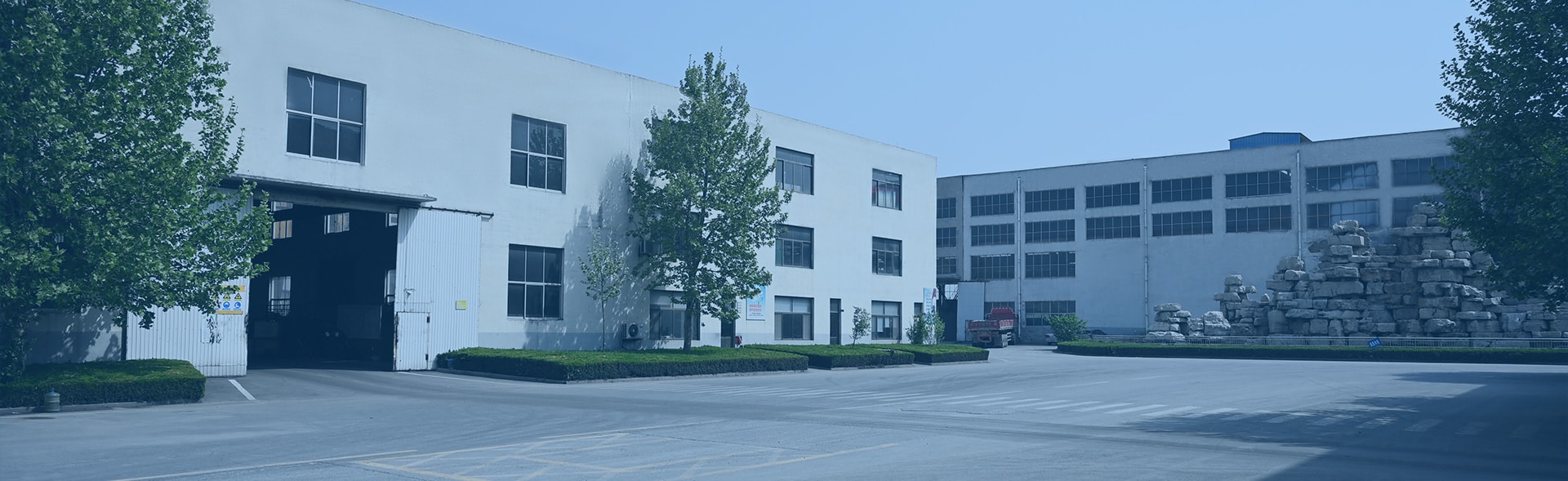 Company Profile